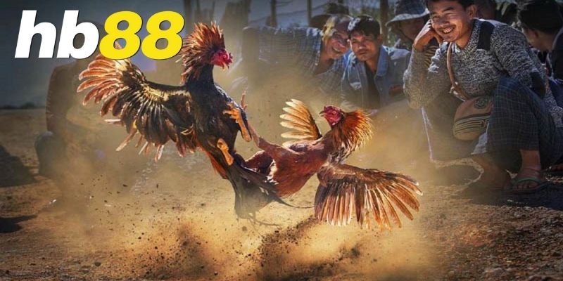 Những lưu ý khi tham gia