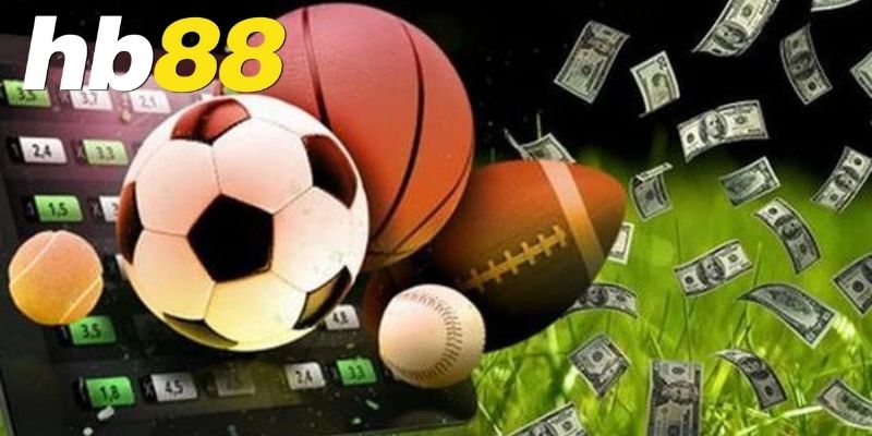 Vì sao người yêu thể thao nên chọn nhà cái