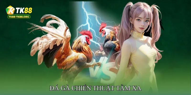 Đá gà chiến thuật tầm xa