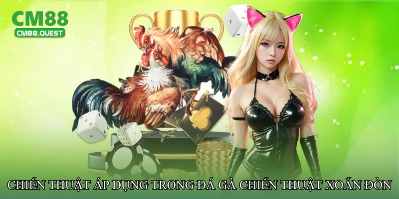 Chiến thuật áp dụng trong Đá gà chiến thuật xoắn đòn