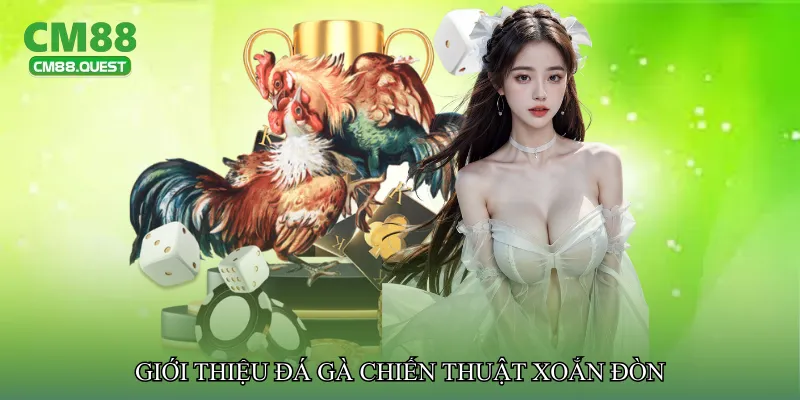 Giới thiệu Đá gà chiến thuật xoắn đòn